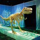 Illustration for article titled So This Is What Inspires Someone to Build a Life-Size LEGO T-Rex